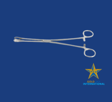 Untitled design (5) Untitled design (5)