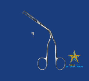 Untitled design (1) Untitled design (1)