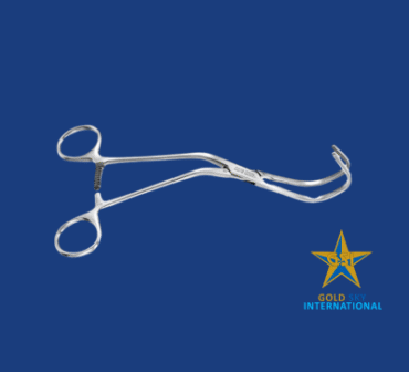 Untitled design (3) Untitled design (3)